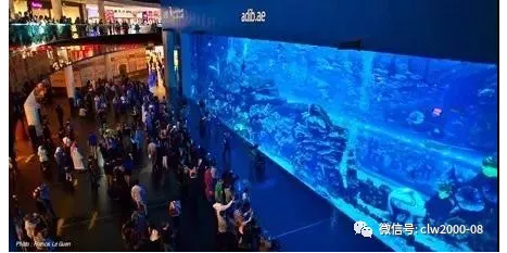 世界那么大，我想去看看——阿聯酋，我們來了